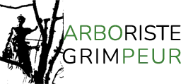 Arboriste grimpeur